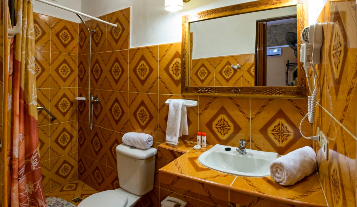 Baño-Habitación-1-3