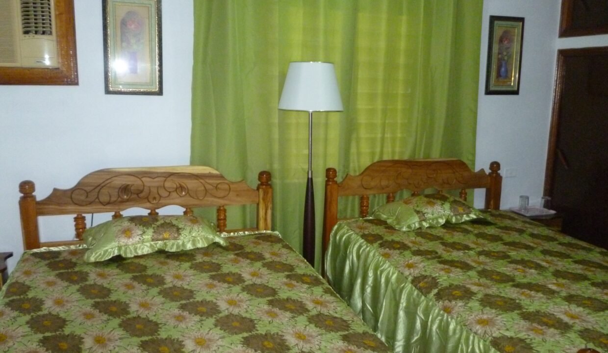 P1040043