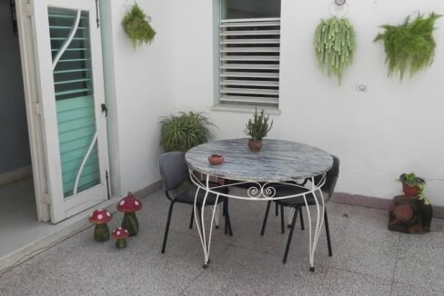 Patio-centro-1